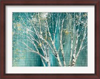 Framed Blue Birch