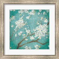 Framed White Cherry Blossoms I on Blue Aged No Bird