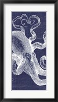 Framed Denim Washed Octopus