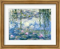 Framed Waterlilies, 1916-19