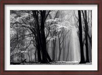 Framed Winter is Coming