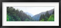 Framed Trees with a mountain range in the background, Great Smoky Mountains National Park, Tennessee, USA