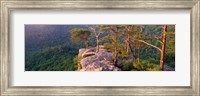 Framed Trees on a mountain, Buzzards' Roost Fall Creek Falls State Park, Pikeville, Bledsoe County, Tennessee, USA