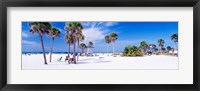 Framed Palm trees on the beach, Siesta Key, Gulf of Mexico, Florida, USA