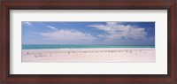 Framed Flock of seagulls on the beach, Lido Beach, St. Armands Key, Sarasota Bay, Florida, USA