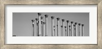 Framed Low angle view of columns, National Capitol Columns, National Arboretum, Washington DC, USA