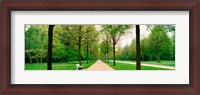 Framed Tree-lined road Hessen Kassel vicinity Germany