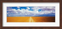 Framed Dirt road Amboseli Kenya