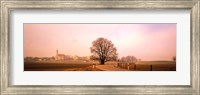 Framed Tree & road Lansberg vicinity Germany