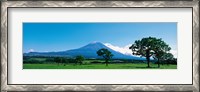 Framed Mt Fuji Shizuoka Japan