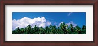 Framed Maldives with Clouds