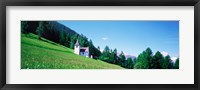 Framed Green Slopes, Engadin Switzerland