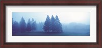 Framed Misty forest Quebec Canada