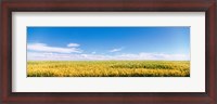 Framed Farm field Twin Falls ID USA