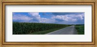 Framed Road along corn fields, Christian County, Illinois, USA