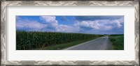 Framed Road along corn fields, Christian County, Illinois, USA