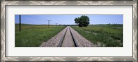 Framed Telephone poles along a railroad track, Custer County, Nebraska