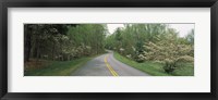 Framed Road passing through a landscape, Blue Ridge Parkway, Virginia, USA