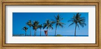 Framed Palm trees Oahu HI USA