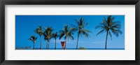 Framed Palm trees Oahu HI USA