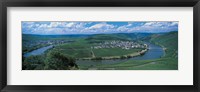 Framed Vineyard Moselle River Germany