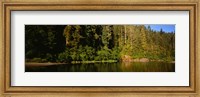 Framed Reflection of trees in a river, Smith River, Jedediah Smith Redwoods State Park, California, USA