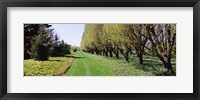 Framed Botanical garden, Niagara Falls, Ontario, Canada