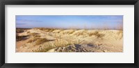Framed Sand dunes on the beach, Anastasia State Recreation Area, St. Augustine, St. Johns County, Florida, USA
