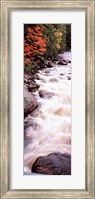 Framed River flowing through a forest, Ausable River, Adirondack Mountains, Wilmington, New York State (vertical)