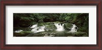 Framed Dingmans Creek flowing through a forest, Dingmans Falls Area, Delaware Water Gap National Recreation Area, Pennsylvania, USA