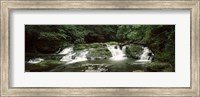 Framed Dingmans Creek flowing through a forest, Dingmans Falls Area, Delaware Water Gap National Recreation Area, Pennsylvania, USA