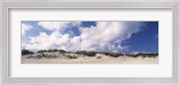 Framed Sand dunes, Cape Hatteras National Seashore, Outer Banks, North Carolina, USA