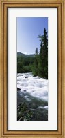 Framed River flowing through a forest, Little Susitna River, Hatcher Pass, Talkeetna Mountains, Alaska, USA