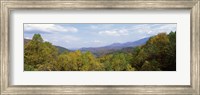 Framed View from River Road, Great Smoky Mountains National Park, North Carolina, Tennessee, USA