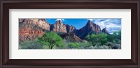 Framed Cottonwood trees and The Watchman, Zion National Park, Utah, USA