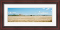 Framed Wheat field with grain elevator near D8, Plateau de Valensole, Alpes-de-Haute-Provence, Provence-Alpes-Cote d'Azur, France