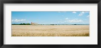 Framed Wheat field with grain elevator near D8, Plateau de Valensole, Alpes-de-Haute-Provence, Provence-Alpes-Cote d'Azur, France