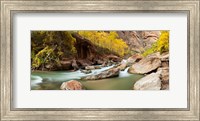 Framed Cottonwood trees and rocks along Virgin River, Zion National Park, Springdale, Utah, USA