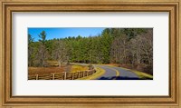 Framed Road passing through a forest, Blue Ridge Parkway, North Carolina, USA