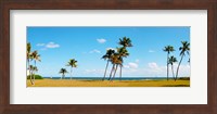 Framed Palm trees on the beach, Lauderdale, Florida, USA