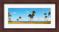 Framed Palm trees on the beach, Lauderdale, Florida, USA