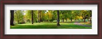 Framed Trees in autumn, Blue Lake Park, Portland, Multnomah County, Oregon, USA