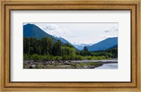 Framed Trees in front of mountains in Quinault Rainforest, Olympic National Park, Washington State, USA