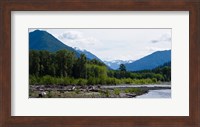 Framed Trees in front of mountains in Quinault Rainforest, Olympic National Park, Washington State, USA