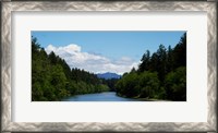 Framed River flowing through a forest, Queets Rainforest, Olympic National Park, Washington State, USA