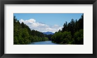 Framed River flowing through a forest, Queets Rainforest, Olympic National Park, Washington State, USA