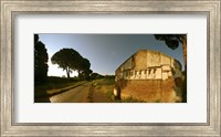 Framed Tombs and umbrella pines along the Via Appia Antica, Rome, Lazio, Italy