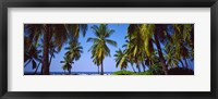 Framed Palm trees on the beach, Puuhonua O Honaunau National Historical Park, Hawaii, USA