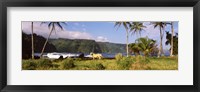 Framed Horse and palm trees on the coast, Hawaii, USA