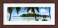 Framed Palm trees on the beach, Rangiroa Atoll, French Polynesia